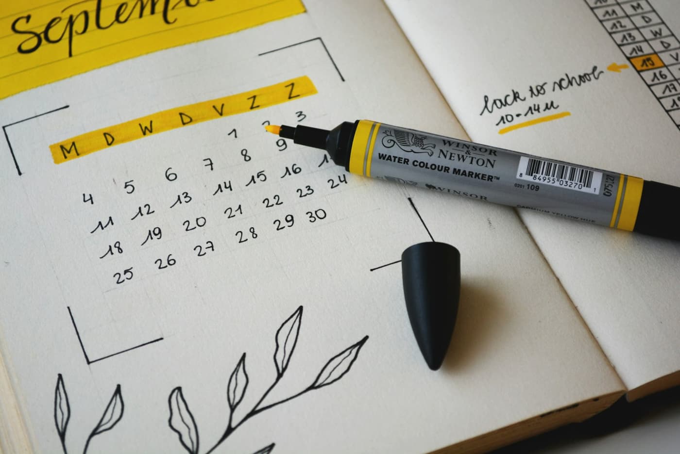 calendar pages macro דפי לוח שנה מקרוב